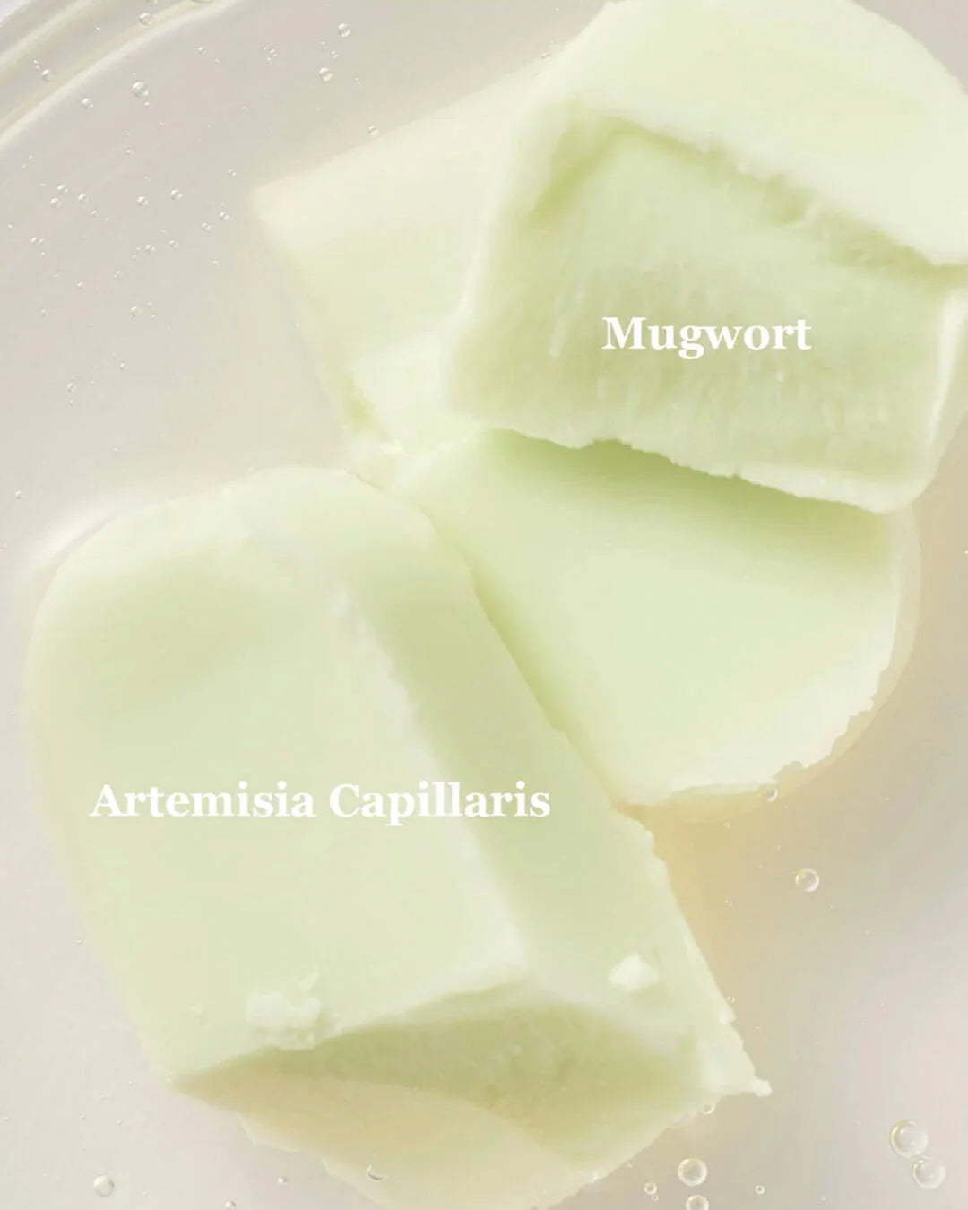 Beauty Of Joseon, Matte Sun Stick Mugwort + Camilia 18g