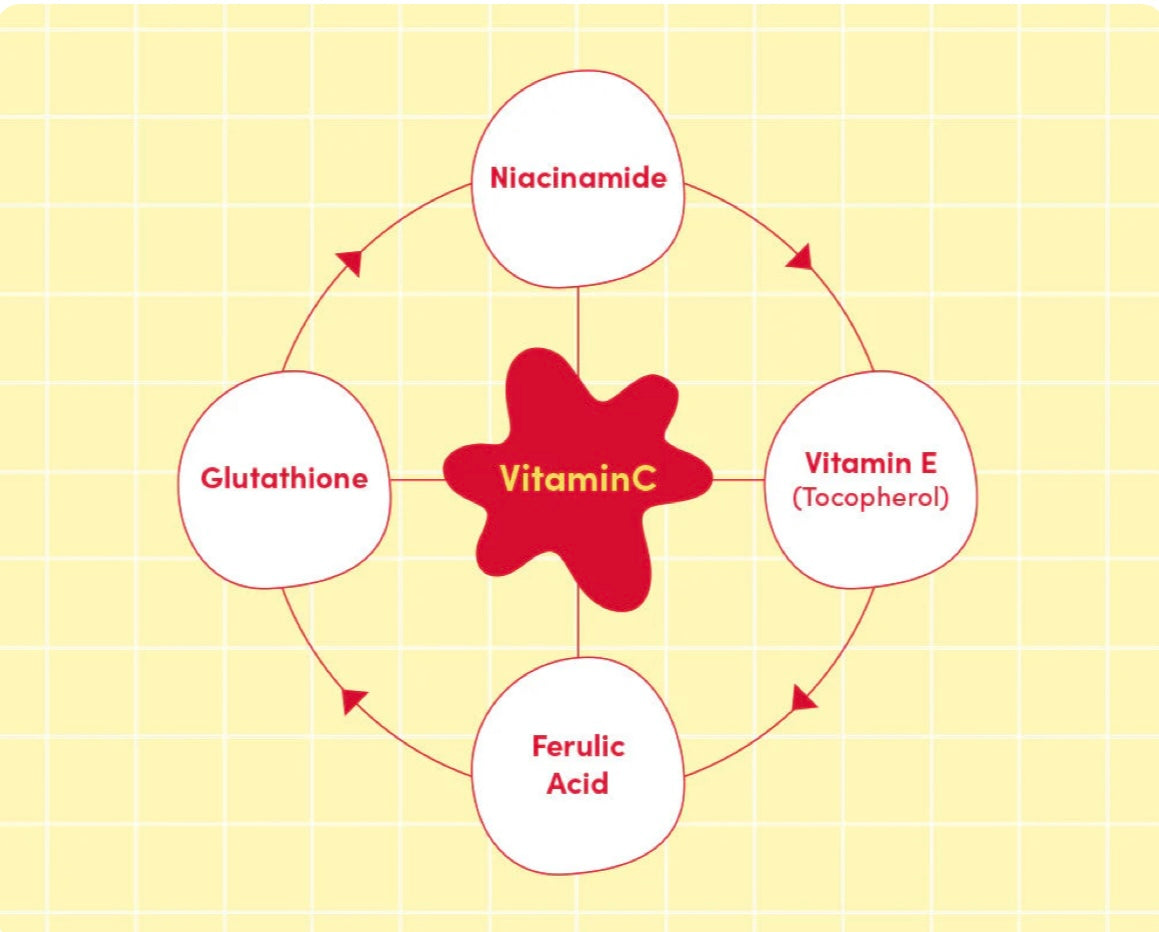 EQQUALBERRY - Vitamin Illuminating Serum